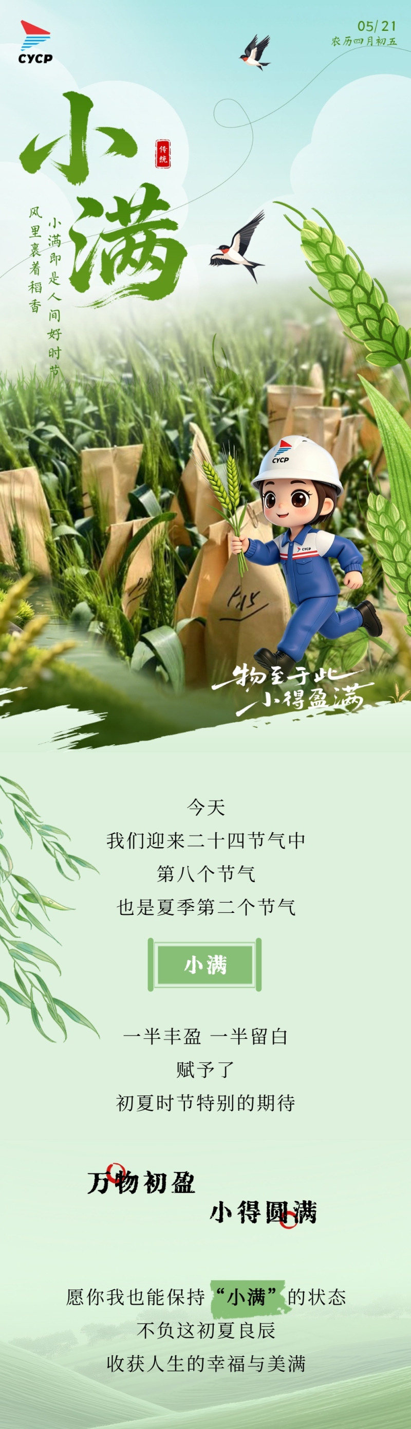 小满节气 (3).jpg